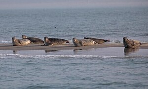 Maak een reservering