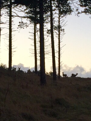 Maak een reservering