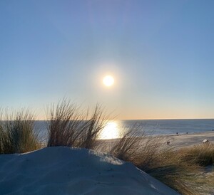 zomaar een avondwandeling ...