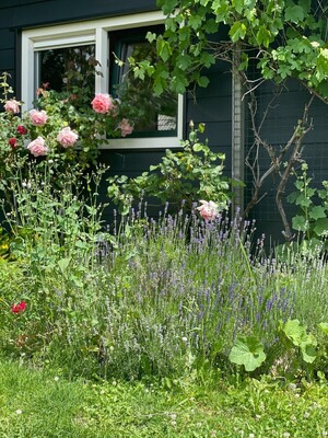 Een impressie van het vakantiehuis