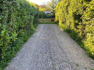 Kenmerken & indeling