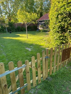 Kenmerken & indeling