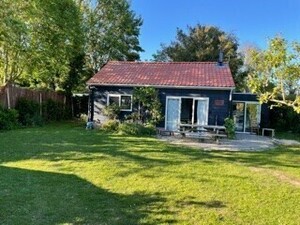 Kenmerken & indeling